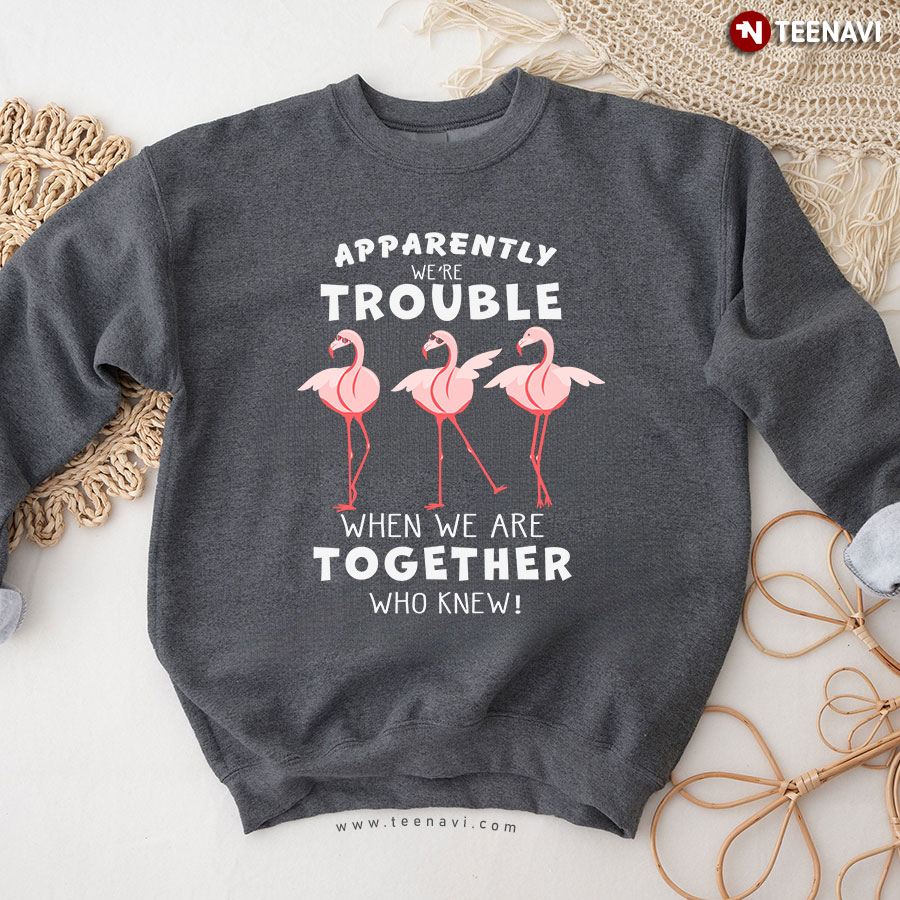 Apparently We're Trouble When We Are Together Who Knew Flamingos Sweatshirt
