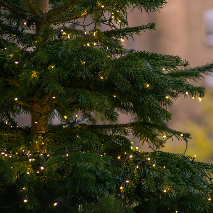 how do you put lights on christmas tree