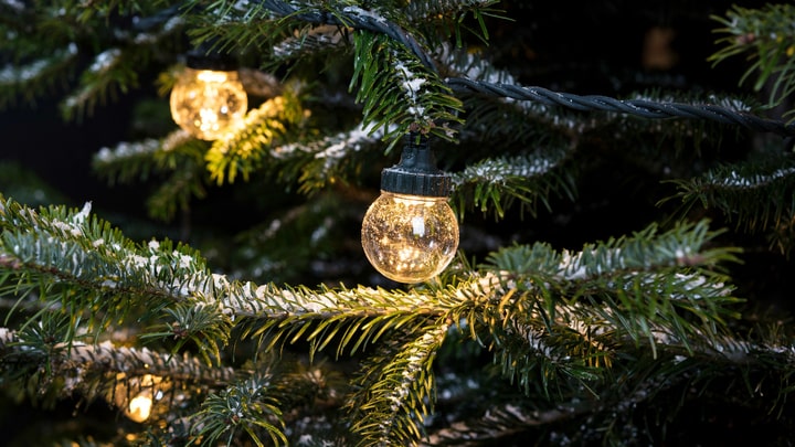 how do u put lights on a christmas tree