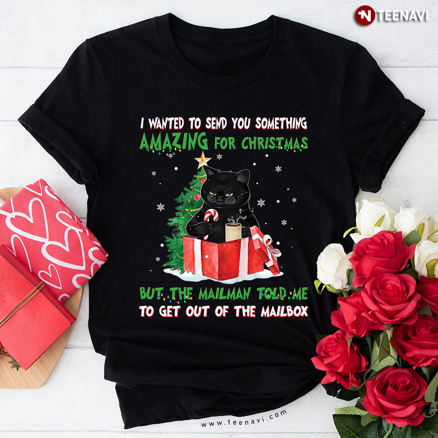 I Wanted To Send You Something Amazing For Christmas But The Mailman Told Me To Get Out Of The Mailbox Black Cat T-Shirt