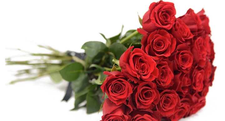 best roses for Valentines's day