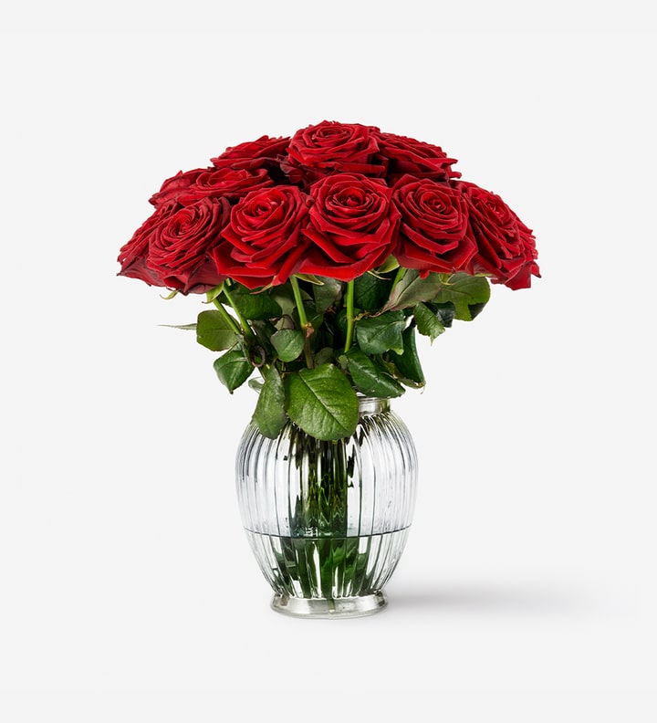 best roses for Valentines's day