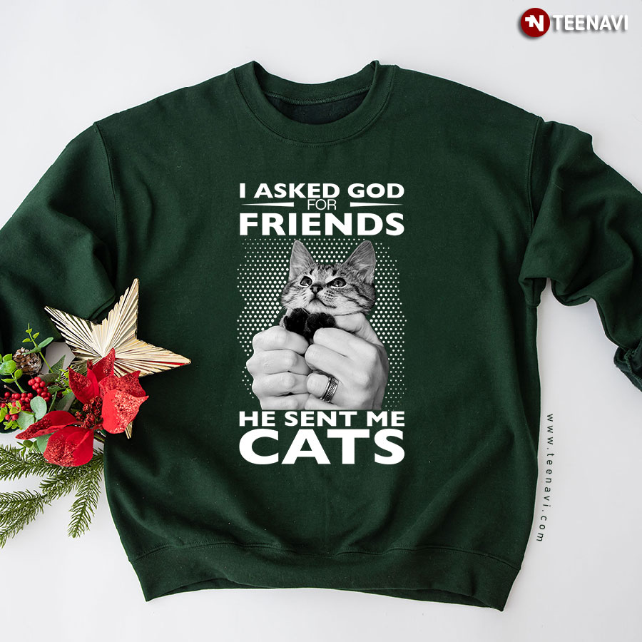 I Asked God For Friends He Sent Me Cats Cat Lovers Sweatshirt
