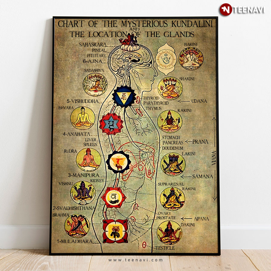Chart Of The Mysterious Kundalini And The Location Of The Glands Poster