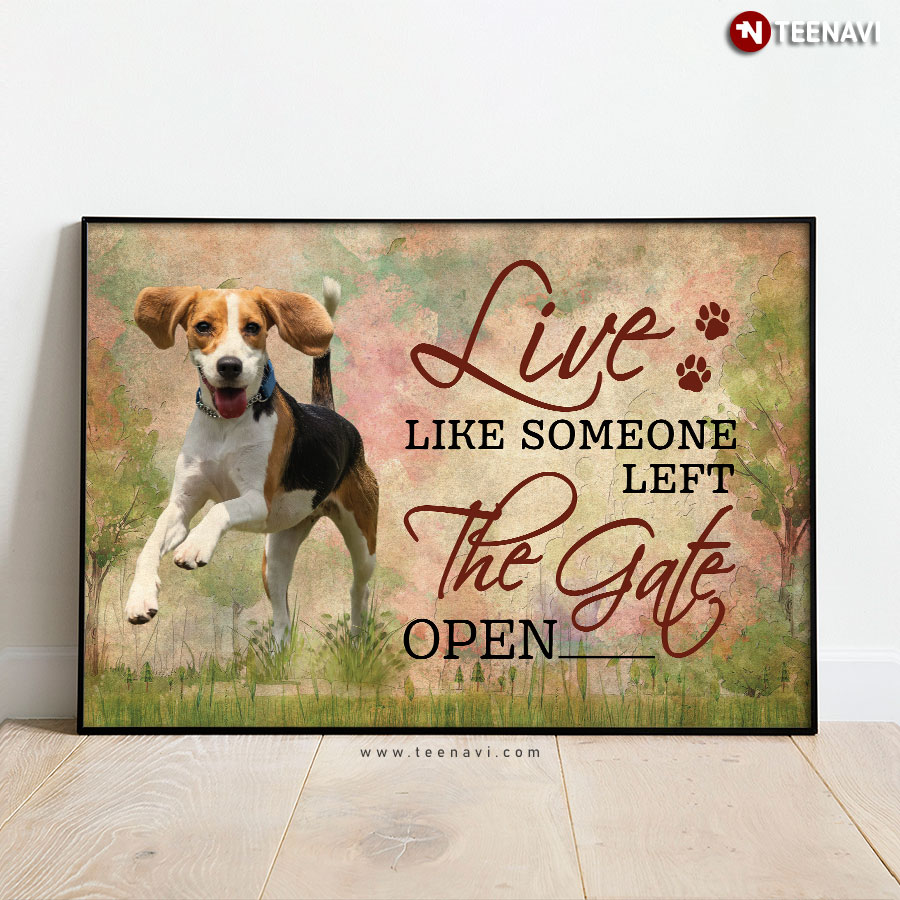 Funny Beagle Puppy Running Top Speed Live Like Someone Left The Gate Open Poster