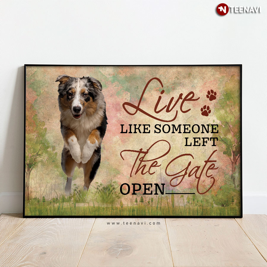 Funny Australian Shepherd Running Top Speed Live Like Someone Left The Gate Open Poster