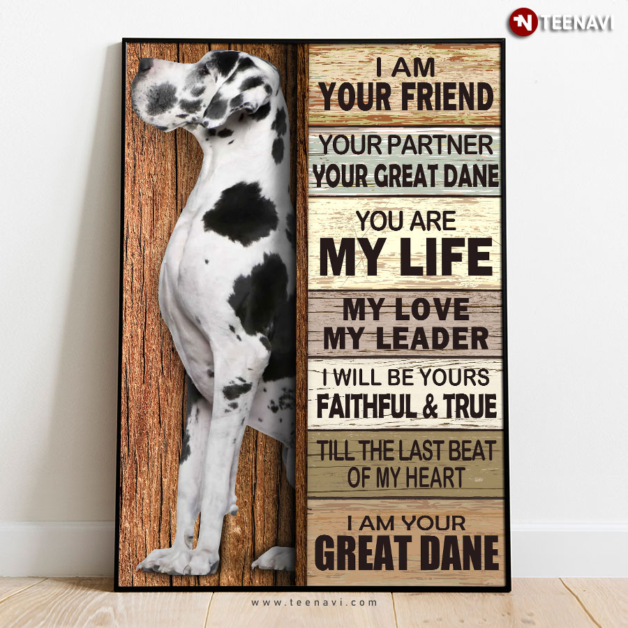 Cool Great Dane I Am Your Friend Your Partner Your Great Dane You Are My Life My Love My Leader Poster