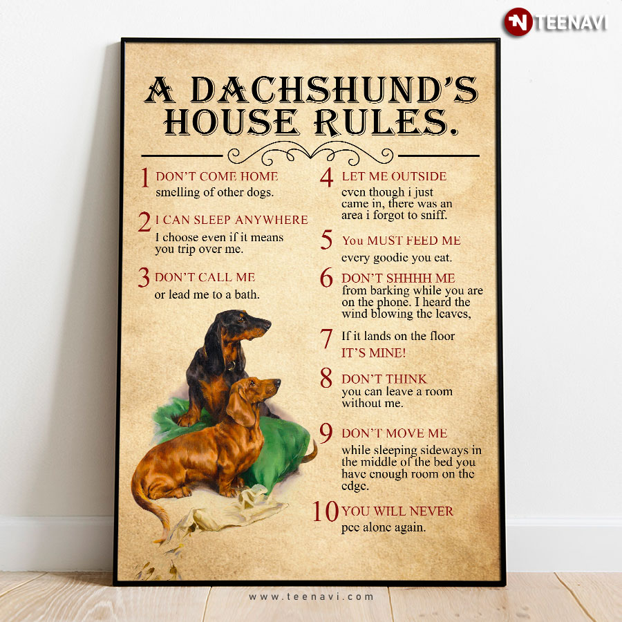 Funny A Dachshund’s House Rules 1 Don’t Come Home 2 I Can Sleep Anywhere 3 Don’t Call Me 4 Let Me Outside Poster