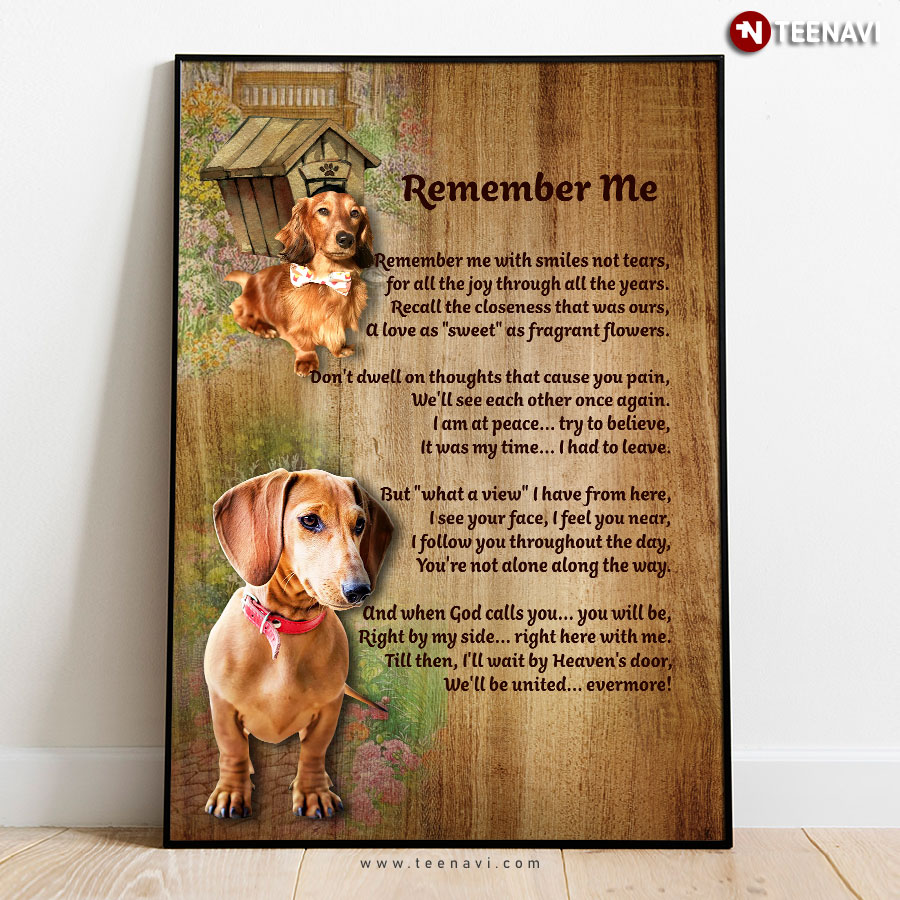 Dachshund Dogs Remember Me Remember Me With Smiles Not Tears For All The Joy Through All The Years Poster