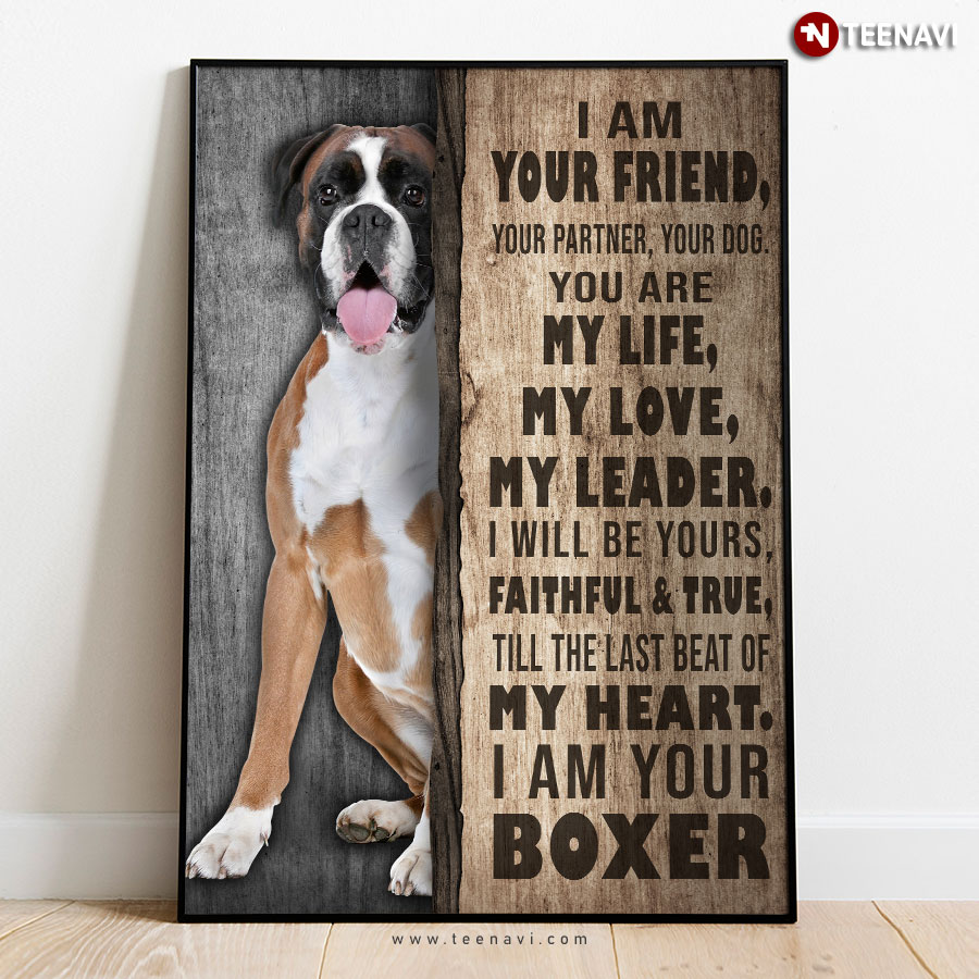 Boxer I Am Your Friend Your Partner Your Dog You Are My Life My Love My Leader Poster