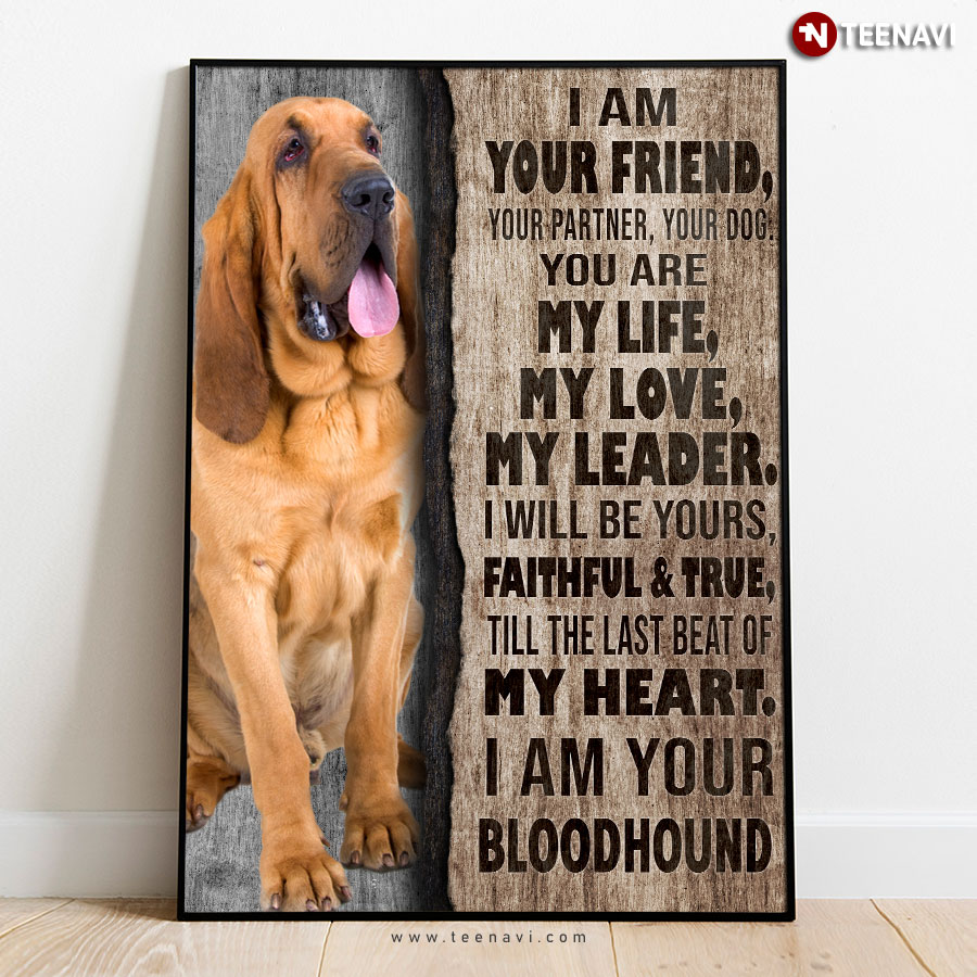 New Version Bloodhound I Am Your Friend, Your Partner, Your Dog. You Are My Life, My Love, My Leader Poster