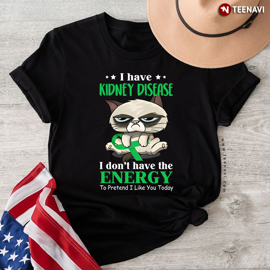 Grumpy Cat I Have Kidney Disease I Don't Have The Energy To Pretend I Like You Today T-Shirt